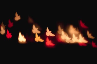 Güvercin bokes koyu arka plan