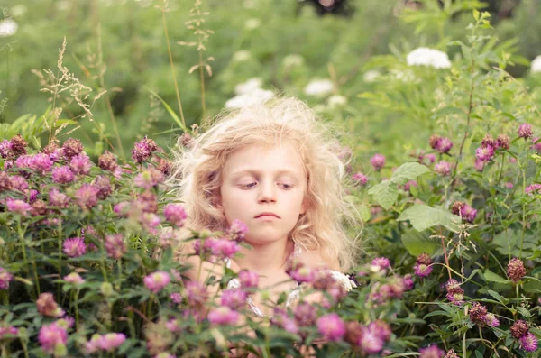 ピンクのクローバーの草原の花々 と金髪少女 — ストック写真