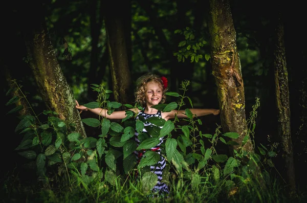 Gyermek-erdő — Stock Fotó