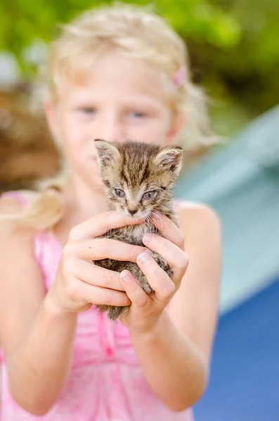 adorable cute kitty cat in hands of little child girl
