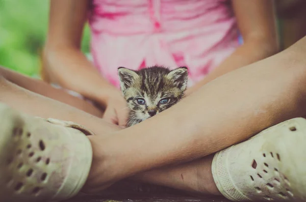 愛らしいかわいい子猫猫子少女の手の中 — ストック写真