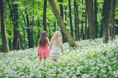 iki kız bahar ormanda yürümek 