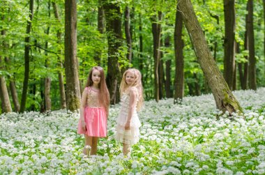 güzel güneşli bahar ormanda