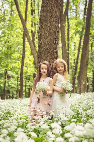 Meninas encantadoras em vestido branco na floresta de primavera — Fotografia de Stock