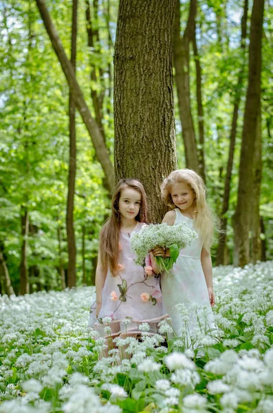 Dwie Piękne Dziewczyny Siedząc Łące — Zdjęcie stockowe
