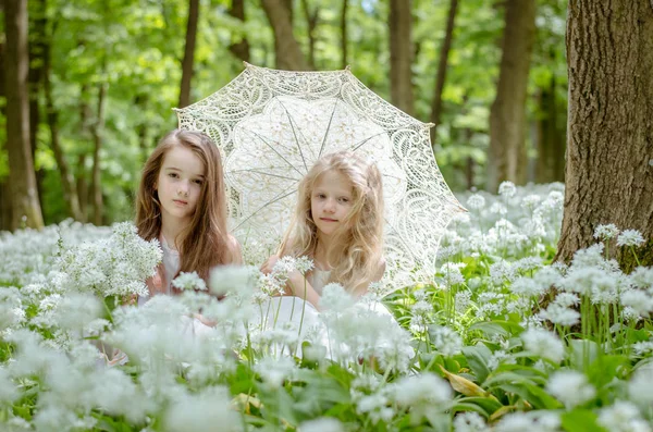 Dvě Krásné Dívky Sedící Louce — Stock fotografie