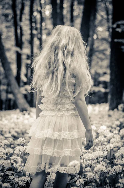 Маленька Дівчинка Довгим Світлим Волоссям Вид Ззаду — стокове фото