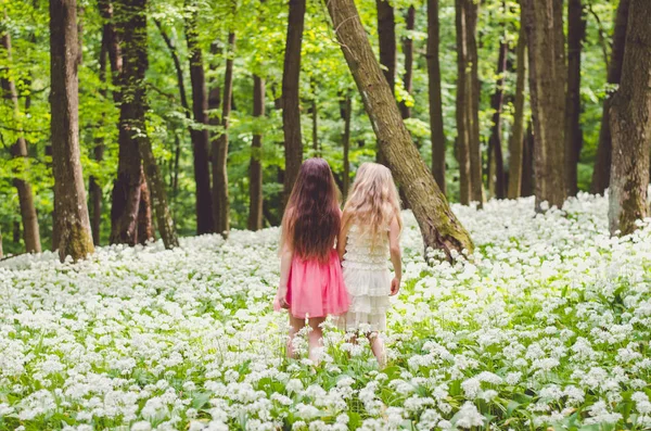 Iki kız bahar ormanda yürümek — Stok fotoğraf