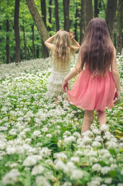 Two girls walking in spring forest — Stock Photo, Image
