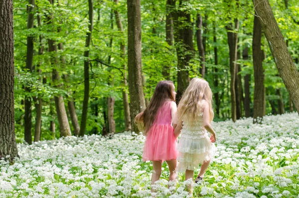 Meninas Bonitas Com Cabelos Longos Floresta Primavera Visão Traseira — Fotografia de Stock