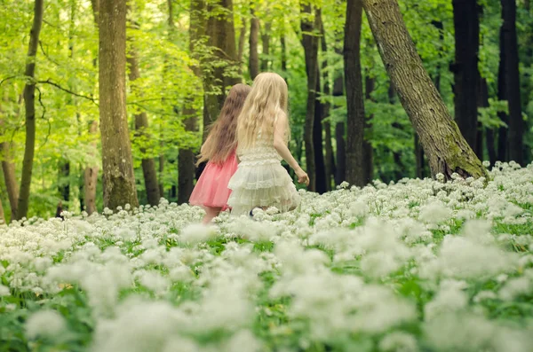 Красиві Дівчата Довгим Волоссям Весняному Лісі Вид Ззаду — стокове фото