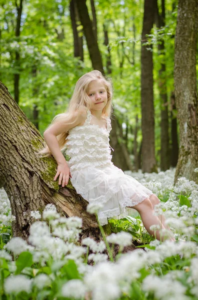 Hermosa Princesa Chica Con Pelo Largo Rubio Bosque Primavera — Foto de Stock