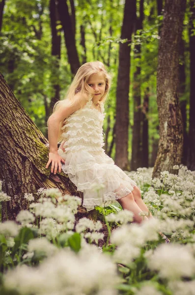 Mooi meisje in een witte jurk in voorjaar bos — Stockfoto