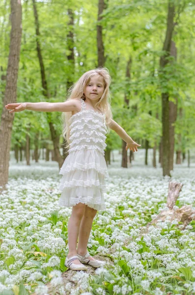 Feetjie in groen bos — Stockfoto