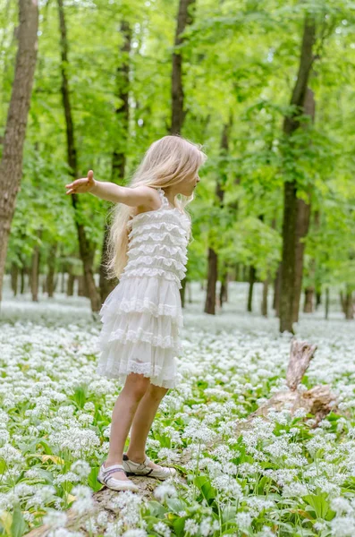 Bela Fada Menina Com Longos Cabelos Loiros Floresta Primavera — Fotografia de Stock