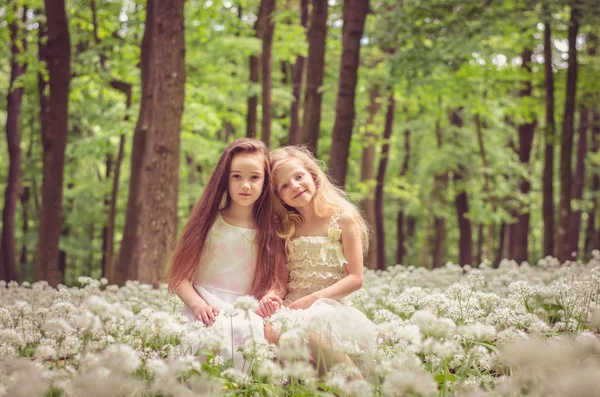 Красивые Девушки Длинными Волосами Весеннем Лесу — стоковое фото