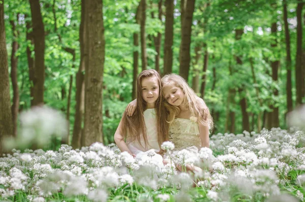 Meninas Bonitas Com Cabelos Longos Floresta Primavera — Fotografia de Stock