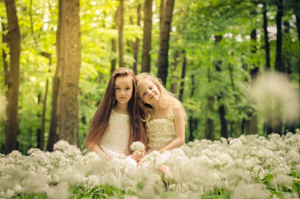 Im schönen sonnigen Frühlingswald — Stockfoto