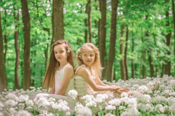 Freunde Mädchen im Wald — Stockfoto
