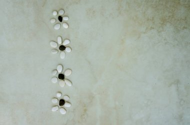 satır küçük çakıl yapılan beyaz siyah çiçek