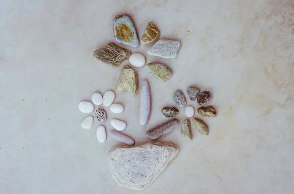 Цветок Мелкой Гальки — стоковое фото
