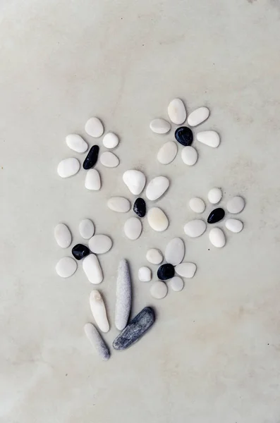 Μάτσο Αιώνια Λουλούδια Μαύρο Γκρι Και Λευκό Βότσαλο — Φωτογραφία Αρχείου