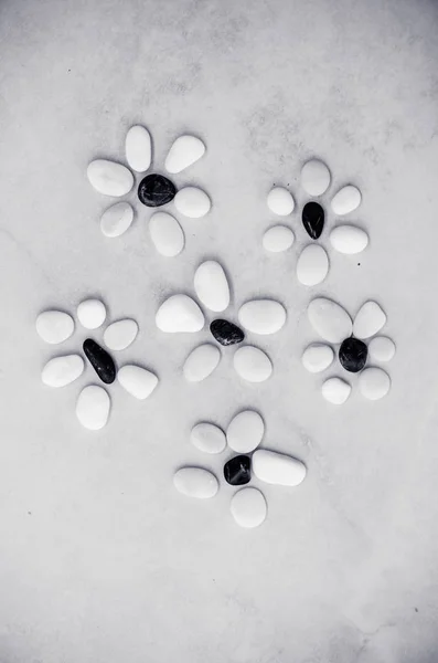 Линия Белых Черных Цветов Мелкой Гальки — стоковое фото
