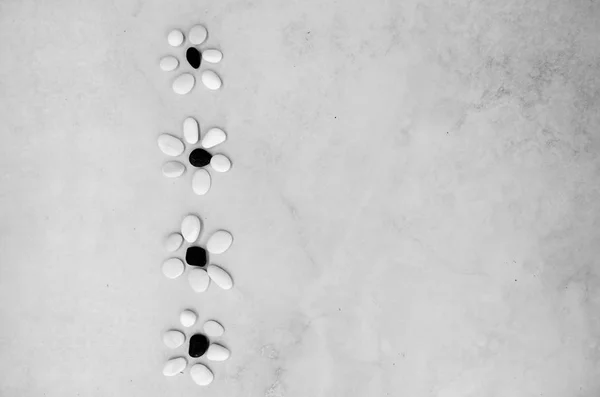 小さな小石から作られた白の黒花のライン — ストック写真
