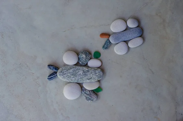 小石から蝶 — ストック写真