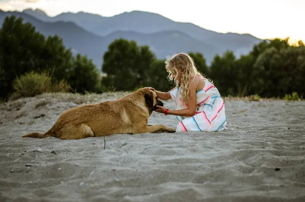 小女孩与长的金发和美丽的礼服与狗在沙子在海滩 — 图库照片