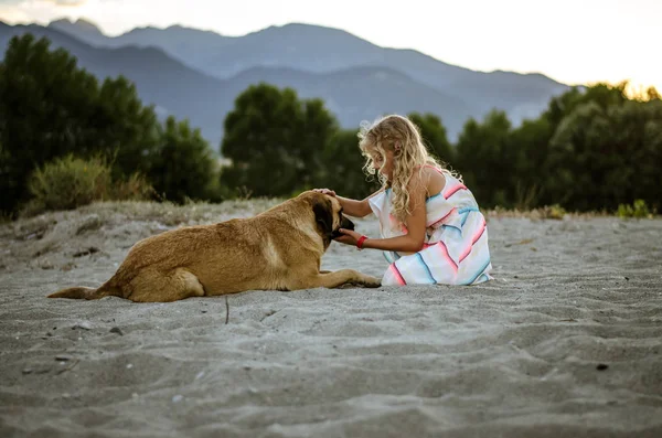 Menina Com Cabelo Loiro Longo Vestido Bonito Com Cão Areia — Fotografia de Stock