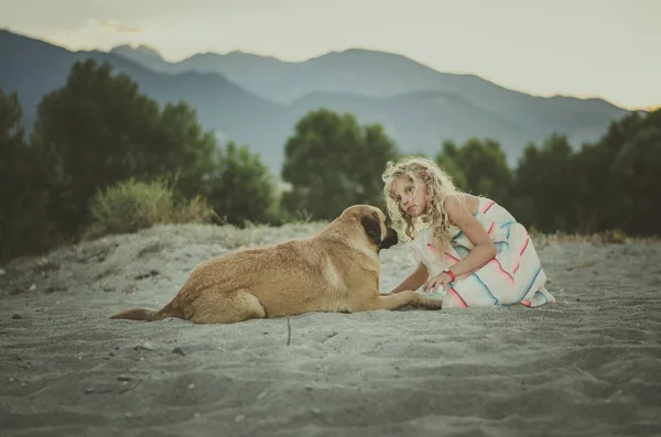 Menina Com Cabelo Loiro Longo Vestido Bonito Com Cão Areia — Fotografia de Stock