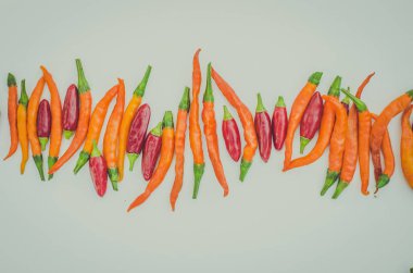 Kırmızı ve turuncu biber 