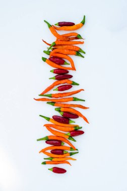 Baharatlı kırmızı ve turuncu biber biber sebze izole çizgi halinde düzenlenmiş