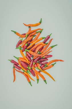 Baharatlı renkli kırmızı ve turuncu biber biber sebze grubu