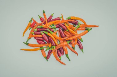 Baharatlı renkli kırmızı ve turuncu biber biber sebze grubu