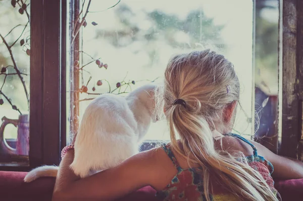 Linda menina com gato branco olhando através da janela — Fotografia de Stock