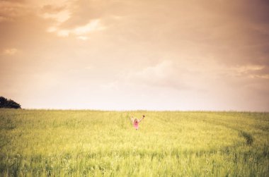 Bahar buğday alanı