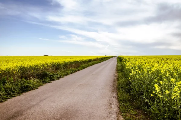 stock image countryside road