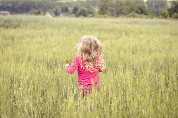 Persona nel campo primaverile — Foto Stock