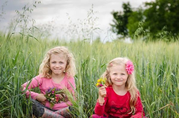 Lovely Little Blond Girls Flowers Green Wheat Field — Stock Photo, Image