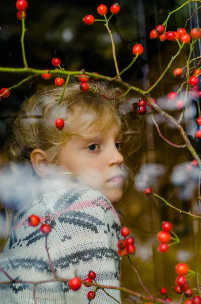 Entzückendes Blondes Mädchenporträt Hinter Dem Fenster Herbst — Stockfoto