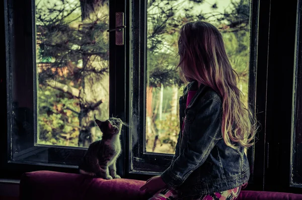 Chica y gato detrás de la ventana — Foto de Stock