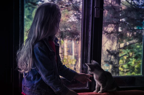 Menina e gato olhando através da janela — Fotografia de Stock