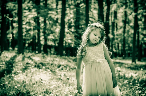 Dívka v temném lese — Stock fotografie