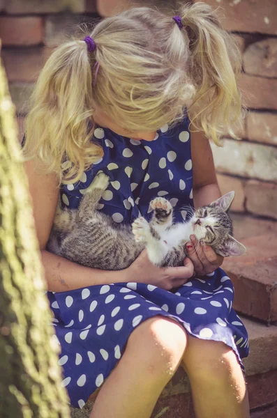Gelukkig kind en dier kat samen — Stockfoto