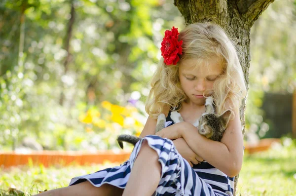 Adorable niño sosteniendo un lindo gato — Foto de Stock