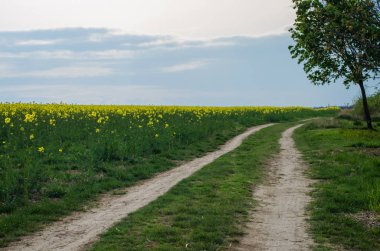 Tarım kırsal manzara