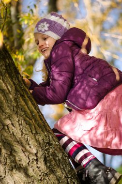 Ağacın tepesine tırmanmak