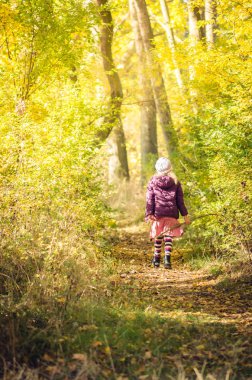 Manzaralı portakal ormanlarında